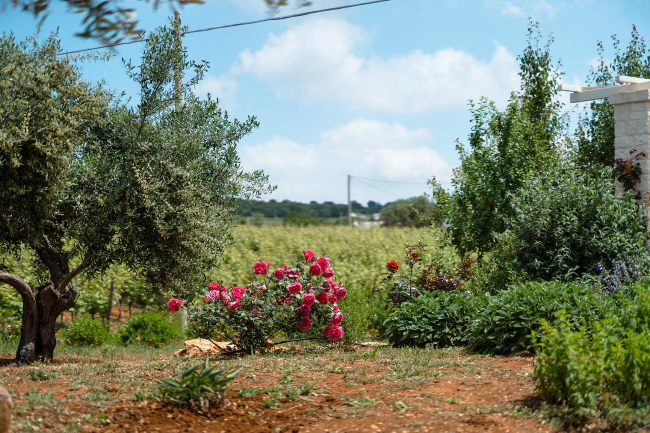 Trulli Audendum Villa Martina Franca Luaran gambar